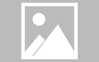 鄄城赤水网站搭建代理品牌（赤水门户网站招标网）